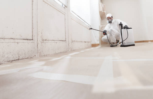 24/7 Emergency Basement Mold Removal experts in Glen Ridge, NJ
