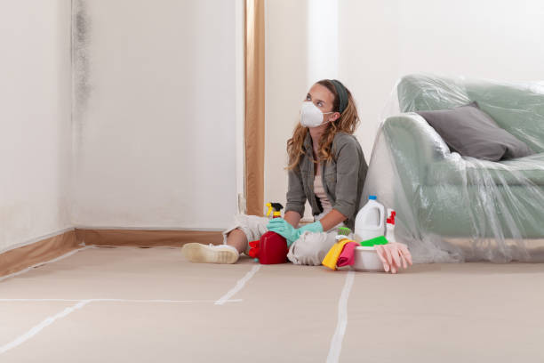 Reliable Basement Mold Removal contractor in Glen Ridge, NJ by WQB Mold Removal